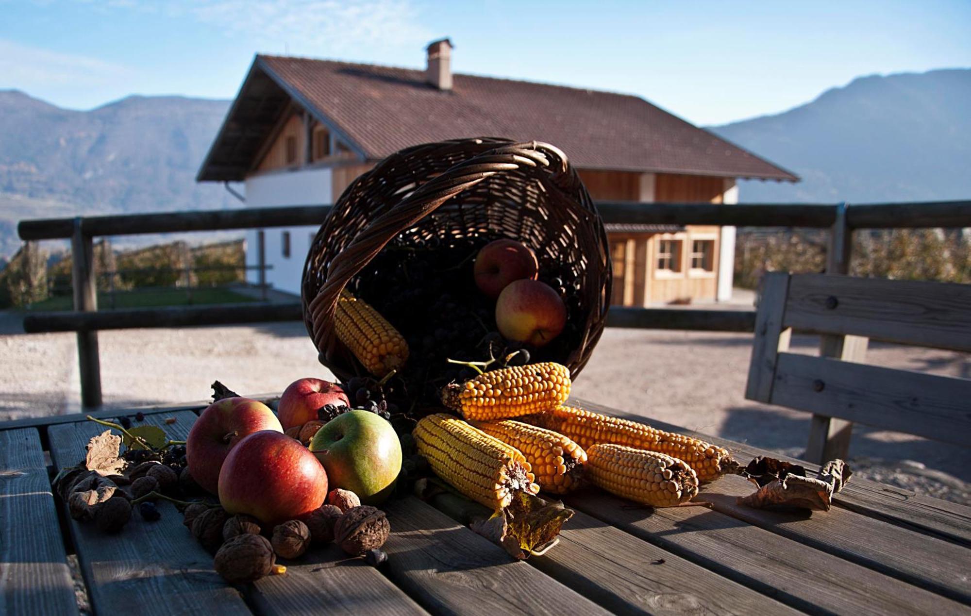 Agritur Maso Pra' Cavai B&B Balbido-rango 外观 照片