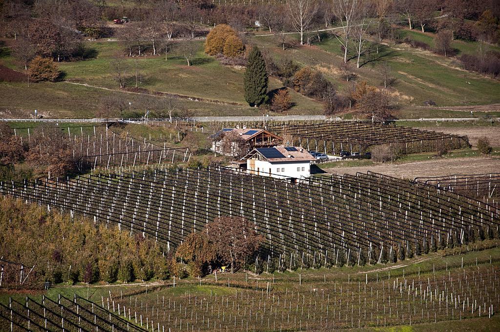 Agritur Maso Pra' Cavai B&B Balbido-rango 外观 照片